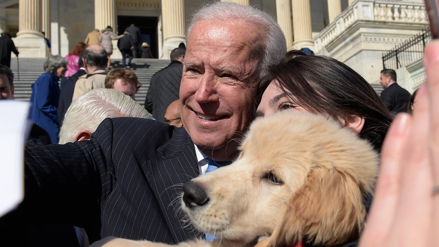 Photo of Vice President Biden meeting Biden the Golden Retriever.